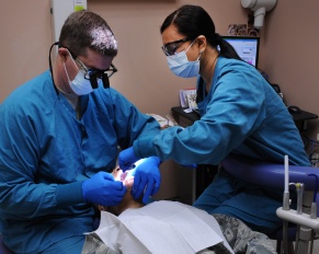 Dental Regrowth of Teeth